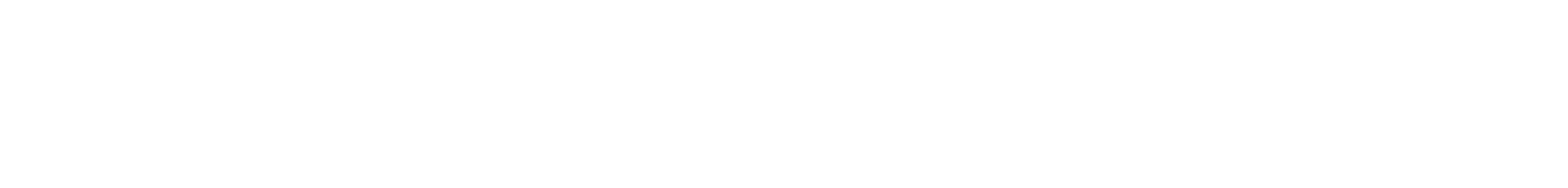 ODCUS AG · Fractional CISO